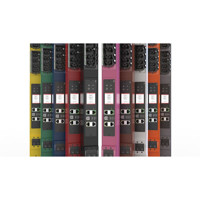 PX4-5161-E7 24-fach schaltbare HDOT Rack PDU mit RamLock Abzugssicherung von Raritan in verschiedenen Farben