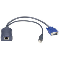 KV1401A ServSwitch CX Server Access Module mit einem USB HID Anschluss von Black Box