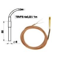 Pt100 Temperatursensor von HW group