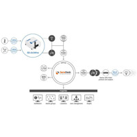 SD-2x1Wire SensDesk Sensor mit Temperatur und Luftfeuchtigkeit Überwachung von HW Group SensDesk Schema