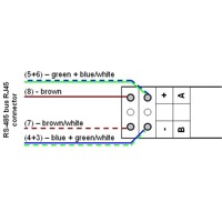 Verkabelung eines Pt100 zu RS-485 Temperatursignal Konverters.