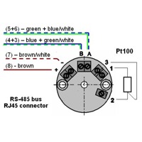 Verkabelung in einem Temp-485-Pt100 Head von HW group.