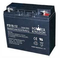 PK18-12-G5 5 Jahres USV Ersatzbatterie von Power Kingdom mit 18AH Kapazität und 12V.