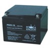 PS25-12-G5 - Power Kingdom USV Ersatzbatterie 25AH 12V 5 Jahre PS25-12 von Power Kingdom ist eine USV Austauschbatterie mit 25AH Kapazität.