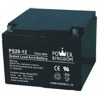 PS28-12-G5 - Power Kingdom USV Austauschakku 28AH 12V 5 Jahre PS28-12-G5 von Power Kingdom ist eine USV Austauschbatterie mit 28AH und 5 Jahren Lebensdauer.