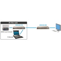 CAT5 Reach DVI Extender Raritan CATx DVI KVM Extender