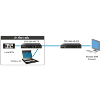 CAT5 Reach DVI HD Rackmontiert und erweiterte lokaler Port KVM Switch von Raritan