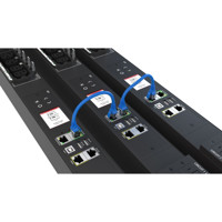 PX4-5161-E7 24-fach schaltbare HDOT Rack PDU mit RamLock Abzugssicherung von Raritan Kaskadierung