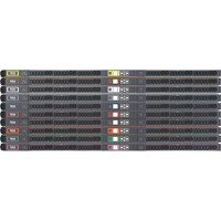 Farbvarianten der PX4 Rack PDUs intelligente Power Distribution Units von Raritan