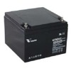 6FM24-X - Vision USV Ersatzakku 24AH 12V 10 Jahre 6FM24-X von Vision ist eine 10 Jahres USV Batterie mit 24AH Kapazität und 12V.