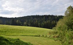 Das Waldviertel konnte an diesem Abend wieder einmal mit seinen schönsten Seiten überzeugen.